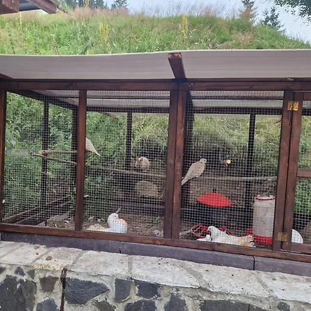 St. Maria * Staré Hory