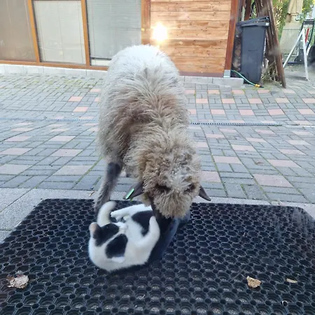 St. Maria Staré Hory