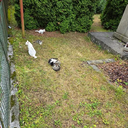 St. Maria Konukevi Staré Hory